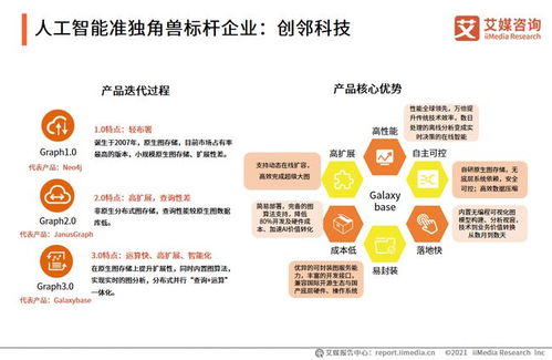 2021年中國AI獨(dú)角獸與準(zhǔn)獨(dú)角獸標(biāo)桿案例分析 知識(shí)產(chǎn)權(quán)服務(wù)的戰(zhàn)略支點(diǎn)與創(chuàng)新實(shí)踐