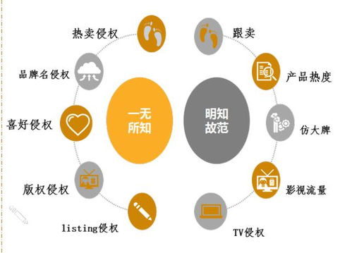 跨境電商產(chǎn)品侵權(quán)與知識(shí)產(chǎn)權(quán)挑戰(zhàn)及應(yīng)對(duì)策略